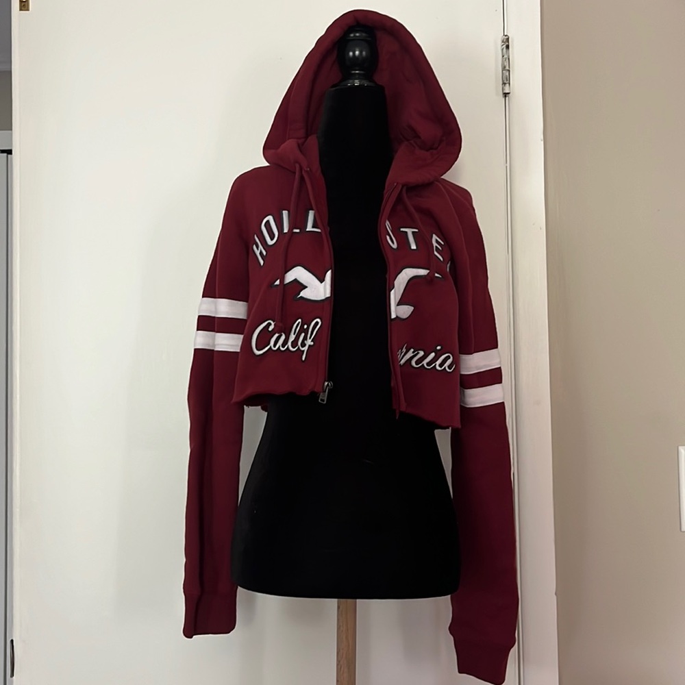 Self-cropped hollister hoodie